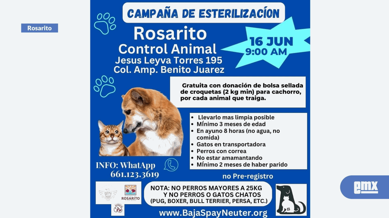 EMX-Invitan-a-la-Jornada-de-Esterilización-gratuita-para-perros-y-gatos